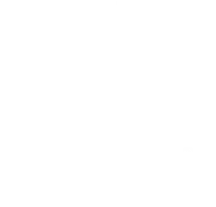 Gyrotonic®